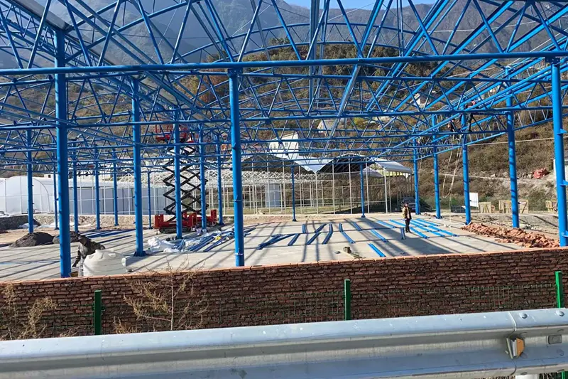 Steel‑structure frame erection work for 3000m³ blueberry cold‑storage facility