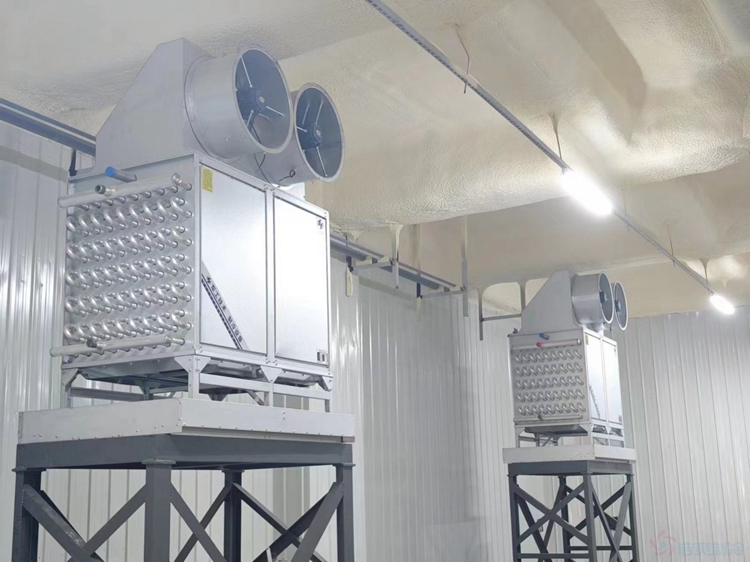  - Cold Chain Cold Storage - 5