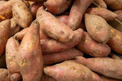  - Cold Storage Tips - 1