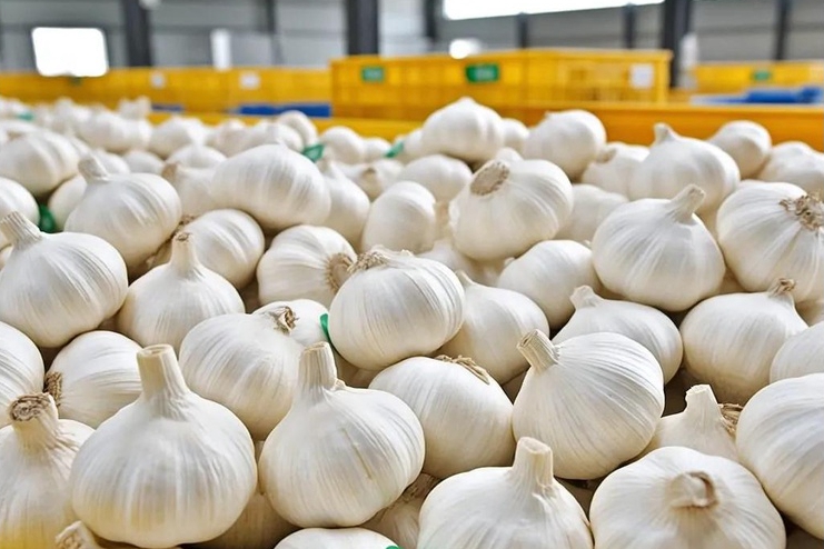  - Cold Storage Tips - 27