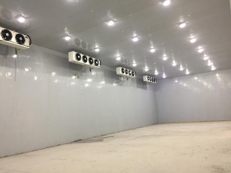  - Cold Chain Cold Storage - 2