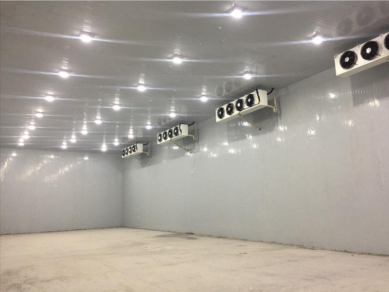  - Cold Chain Cold Storage - 3