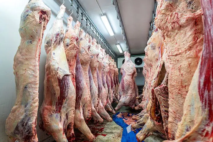 Actual scene of beef cold storage being put into use