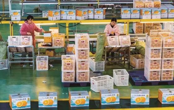 Orange cold storage is put into use