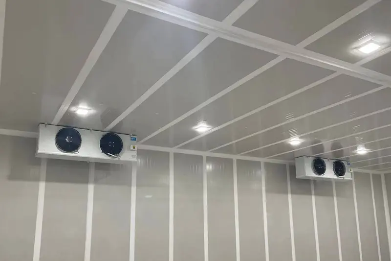 Real scene inside the controlled atmosphere fresh-keeping warehouse