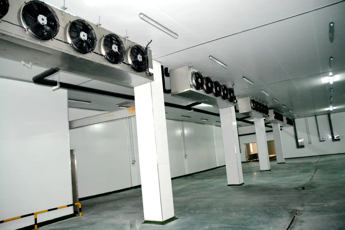 Real scene inside the cold storage