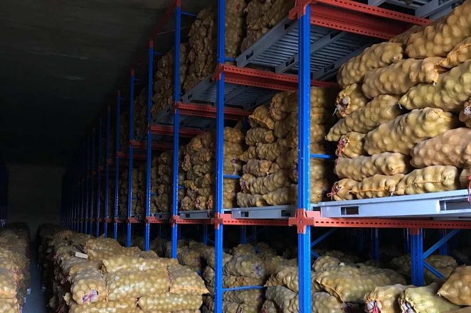 How Much Area and Cost for Building a 1000-Ton Potato Cold Storage?