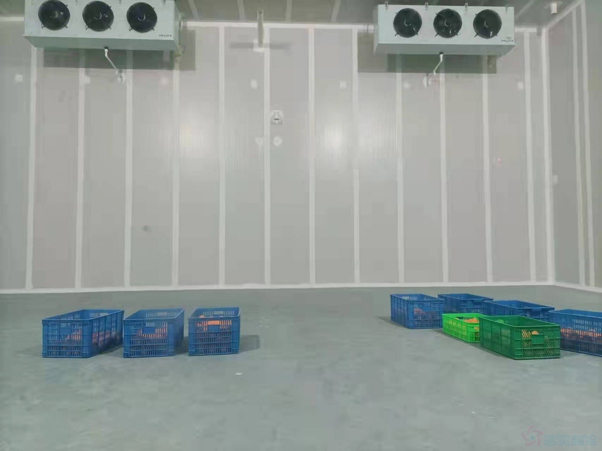  - Fruits and Vegetables Cold Storage - 3