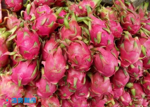 How Long Can Dragon Fruit Be Stored in Cold Storage? Best Pitaya Preservation Methods