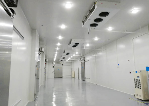  - Pharmaceutical Cold Storage - 5