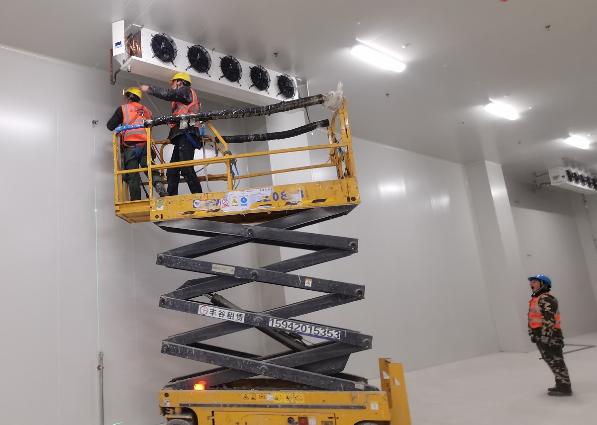 How Much Does It Cost to Build a 5000-Ton Cold Storage Facility? Investment Budget Analysis