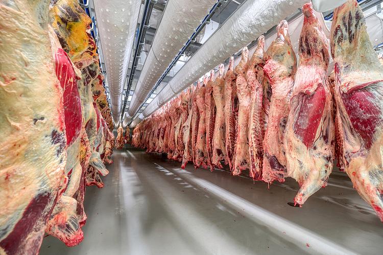 How Much Does It Cost to Build a Meat Freezer Warehouse? Budget Estimation Guide