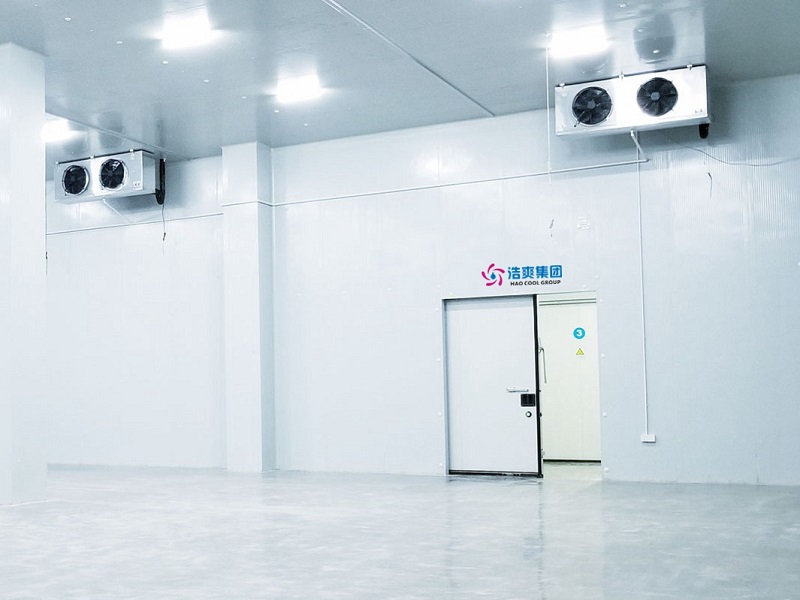 How Much Area is Needed for a 700-Ton Cold Storage? What's the Construction Cost?