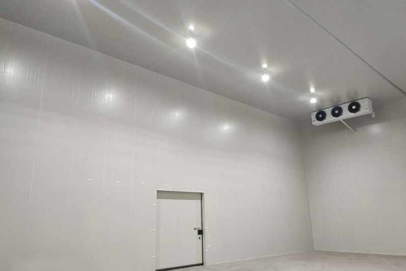 How Much Does a 1000 Cubic Meter Cold Storage Cost? Daily Power Consumption Explained