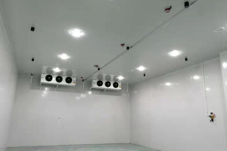 How Much Does It Cost to Build a -18℃ Beef and Seafood Cold Storage Freezer?