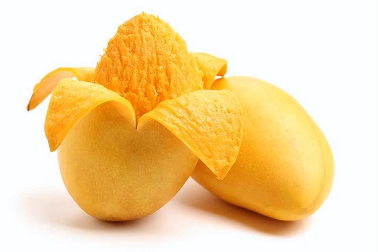 Mango Cold Storage Preservation Technology: The Longest Storage Method for Mangoes
