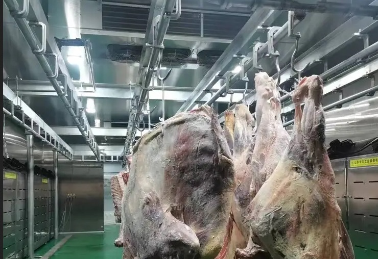  - Cold Storage Tips - 28
