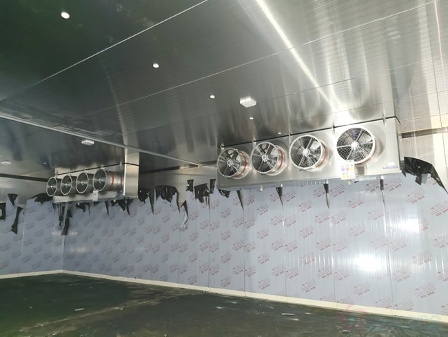  - Industrial Cold Storage - 4