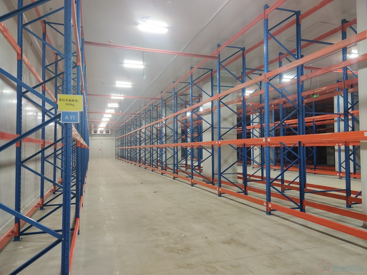 How Much Does It Cost to Build a 3,000㎡ Nut Cold Storage Warehouse?