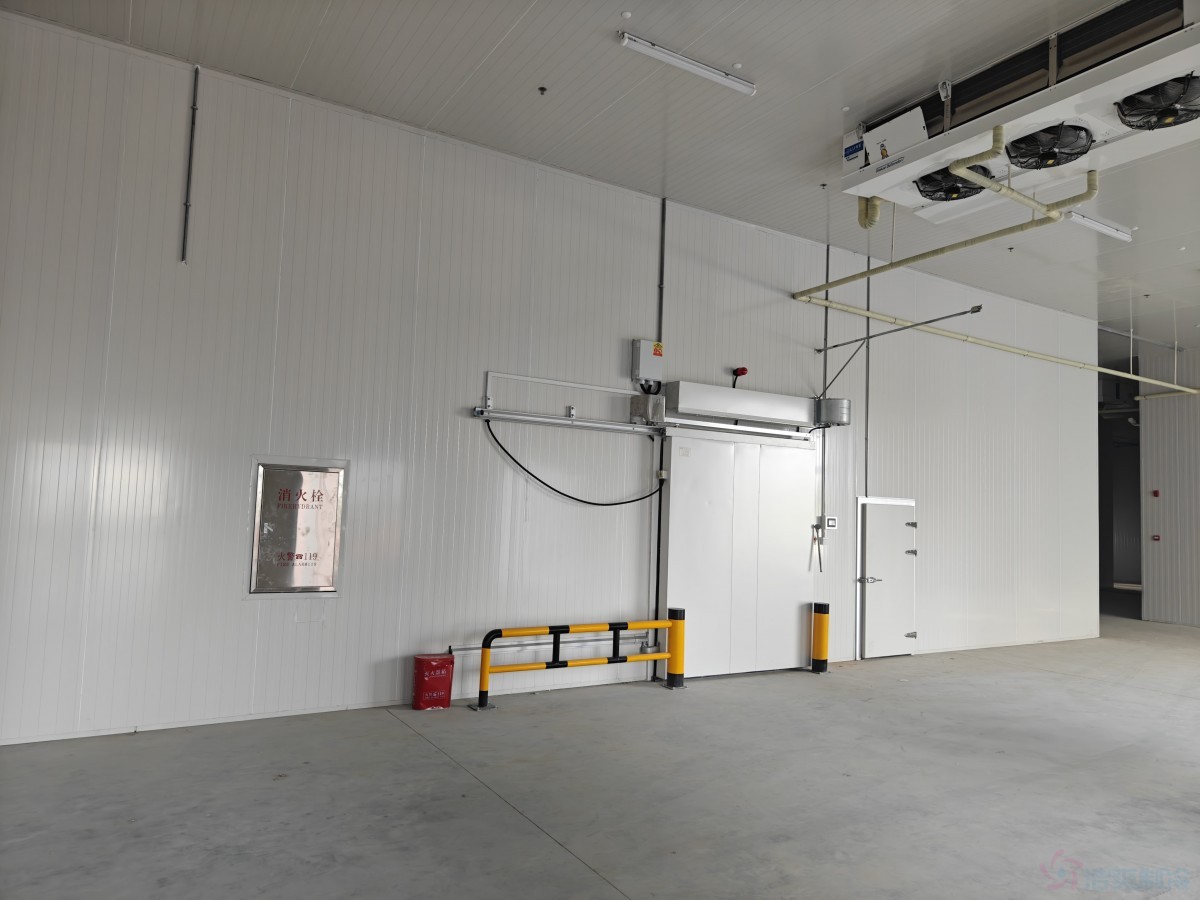  - Cold Chain Cold Storage - 2