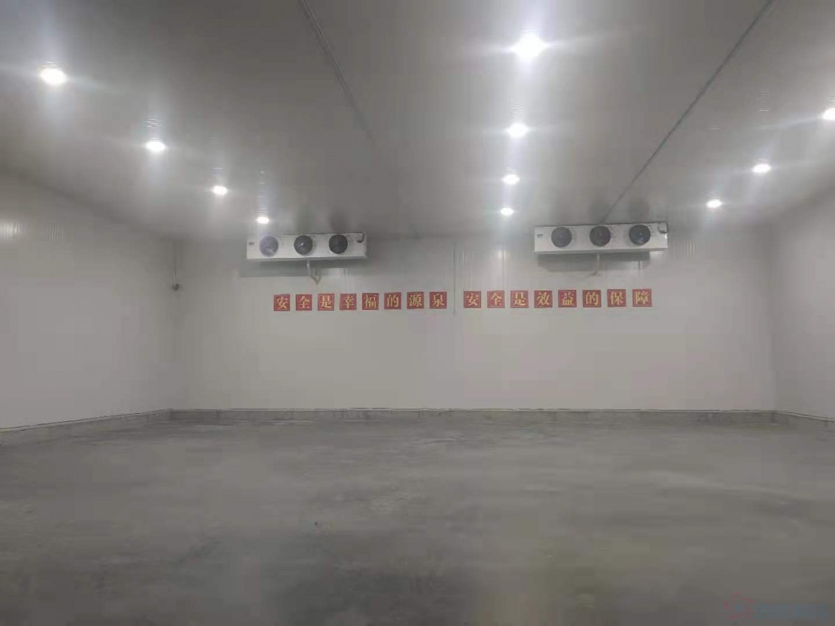  - Cold Chain Cold Storage - 4