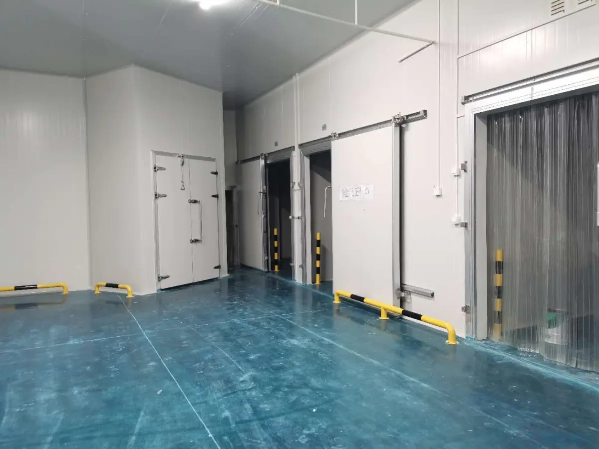Actual shot of the completed dairy cold storage