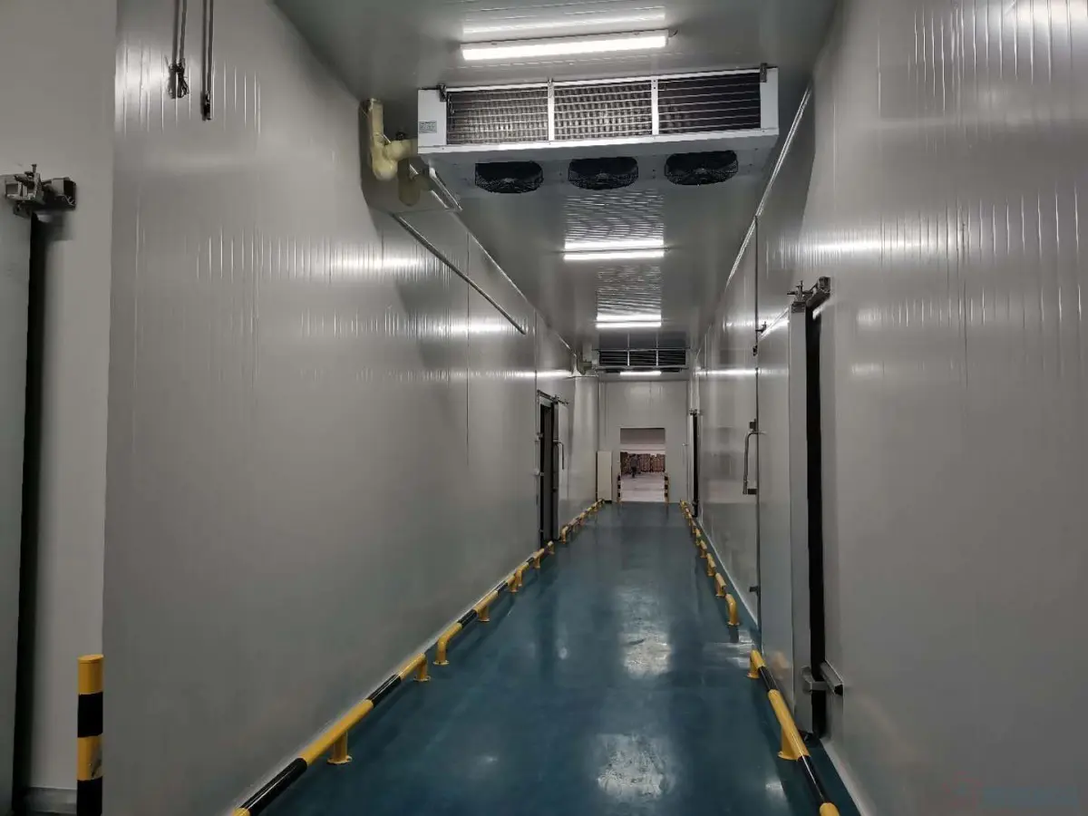 Actual shot of cold storage compartment aisle