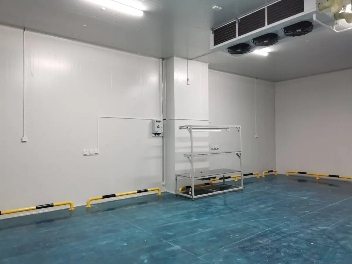 Actual shot of the completed dairy cold storage