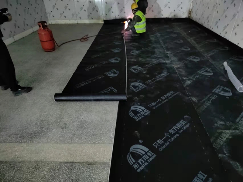  - Pharmaceutical Cold Storage - 5