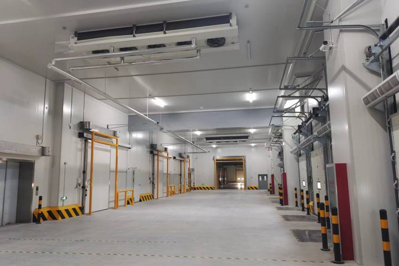  - Cold Chain Cold Storage - 7