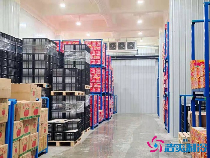  - Cold Chain Cold Storage - 6