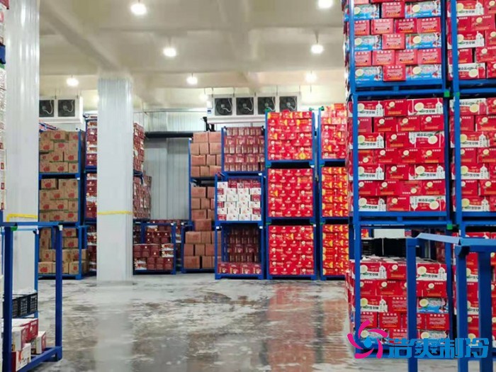  - Cold Chain Cold Storage - 7