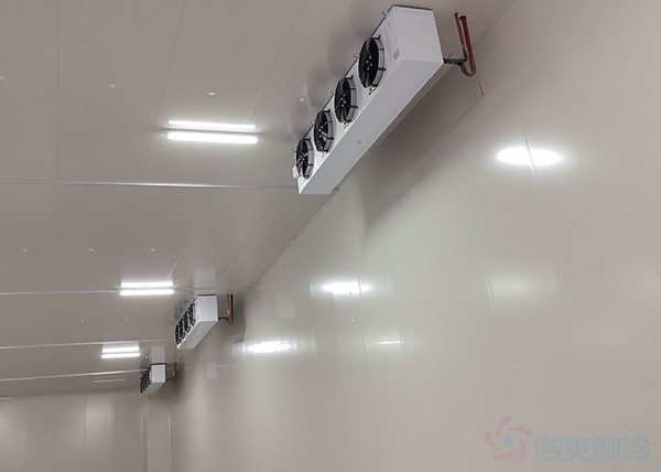  - Cold Chain Cold Storage - 1