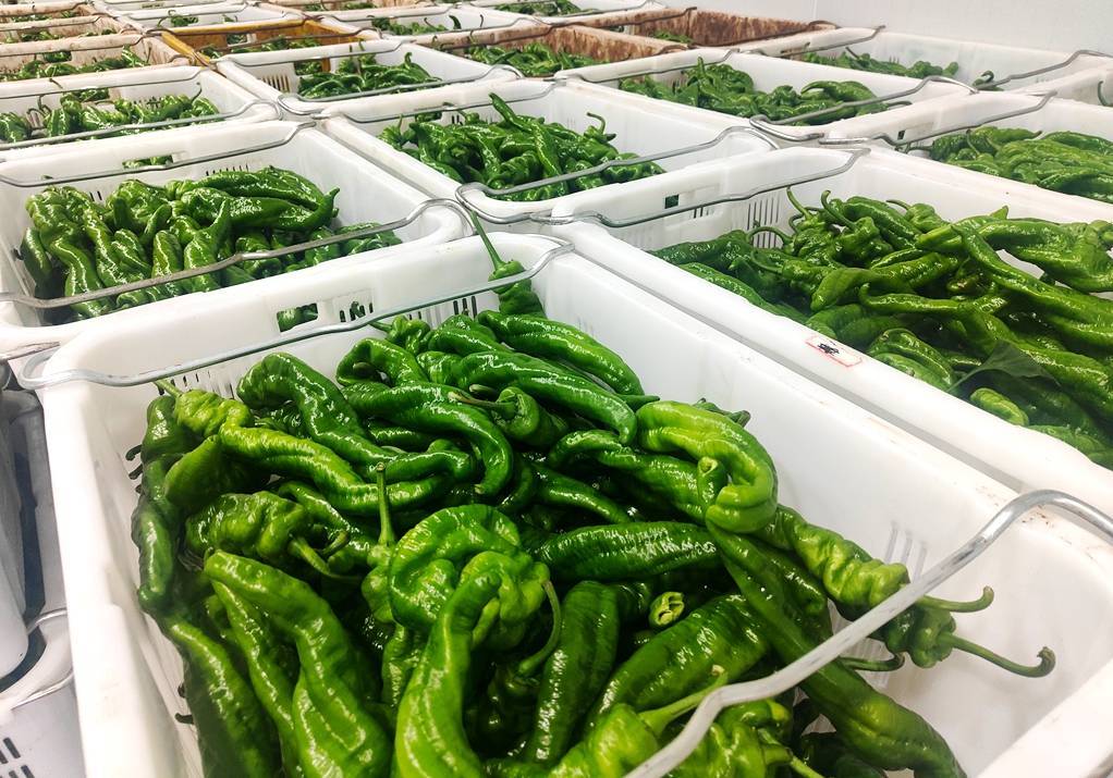  - Cold Storage Construction Costs - 26