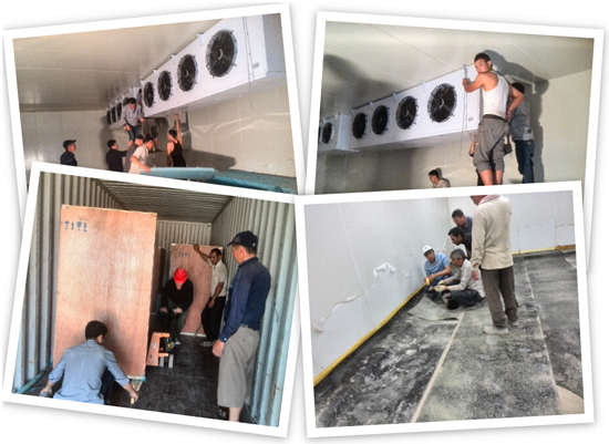  - Fruits and Vegetables Cold Storage - 4