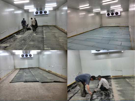  - Fruits and Vegetables Cold Storage - 5