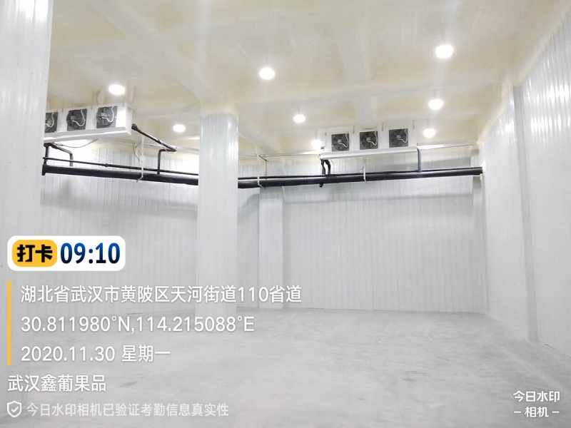  - Cold Chain Cold Storage - 2