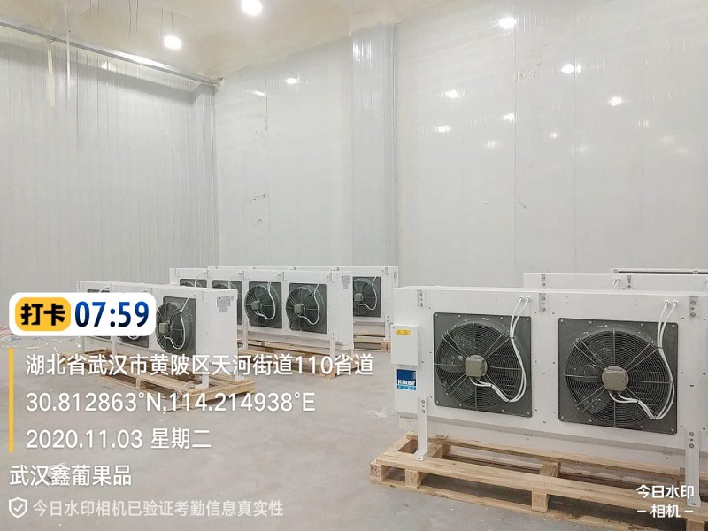  - Cold Chain Cold Storage - 5