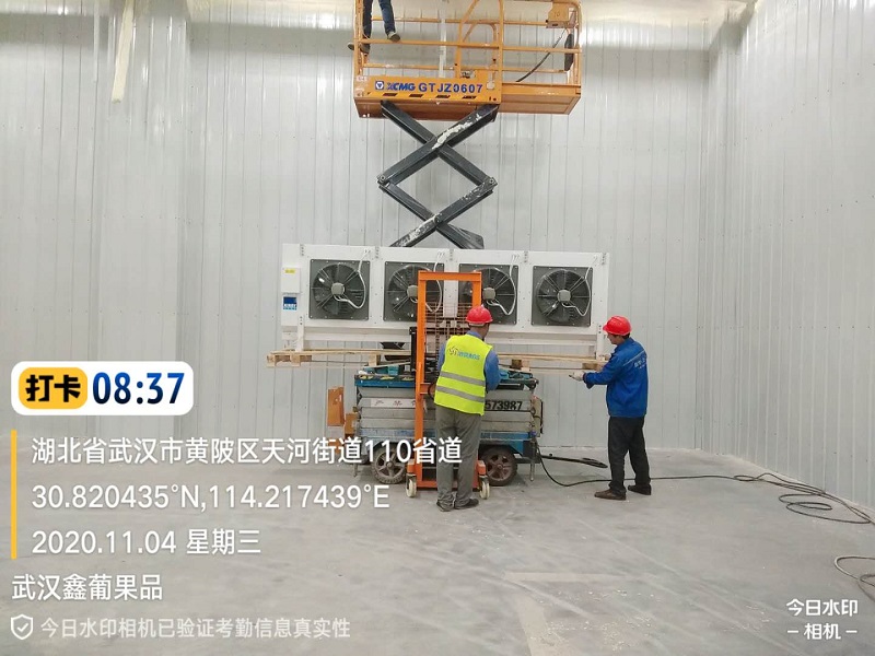  - Cold Chain Cold Storage - 3