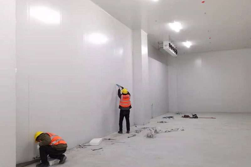  - Fruits and Vegetables Cold Storage - 4