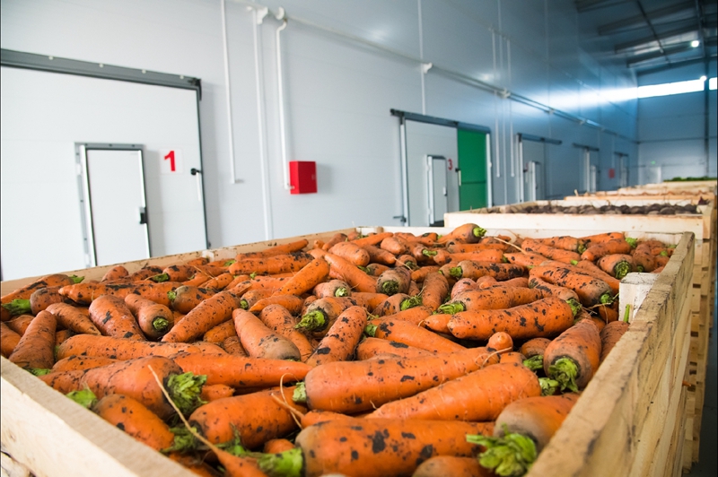  - Cold Storage Tips - 26