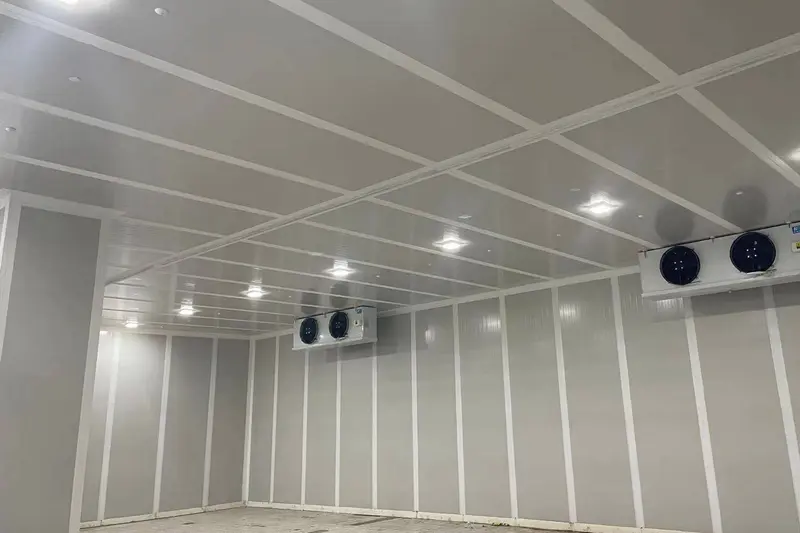 Actual view of a controlled atmosphere storage warehouse