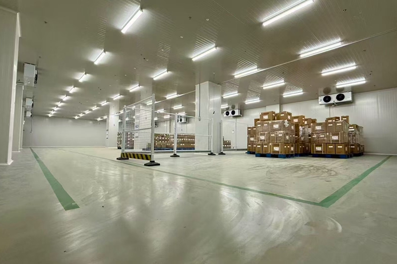 How Much Space Do You Need for a Cold Storage Room? What Is the Cost for Different Storage Capacities?