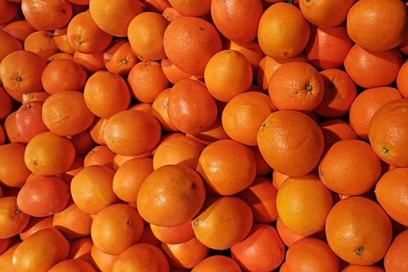  - Cold Storage Construction Costs - 28