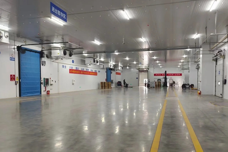 How Much Does It Cost to Build a 2000m² Large Cold Storage Room?