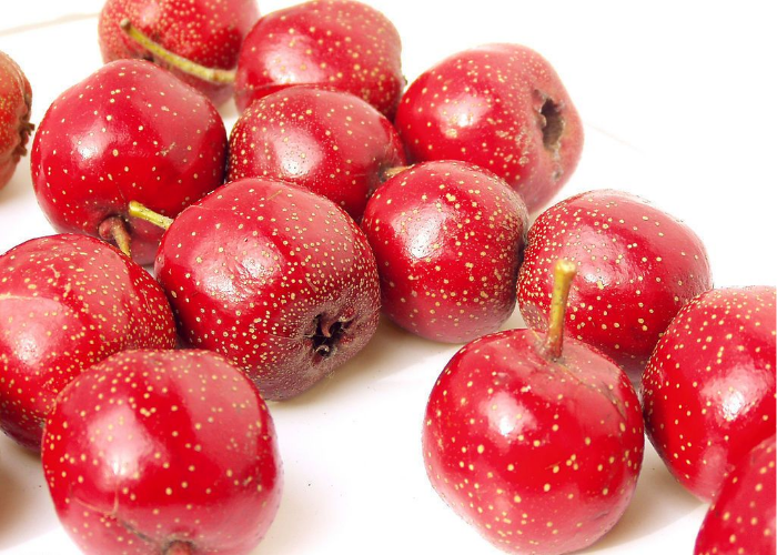 Hawthorn Cold Storage Preservation Methods and Optimal Temperature Control