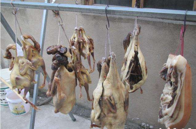  - Cold Storage Tips - 29