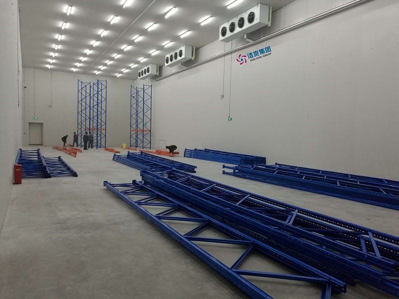 How Much Does It Cost to Build a 3,000 m² Large Fresh Produce Cold Storage Warehouse?