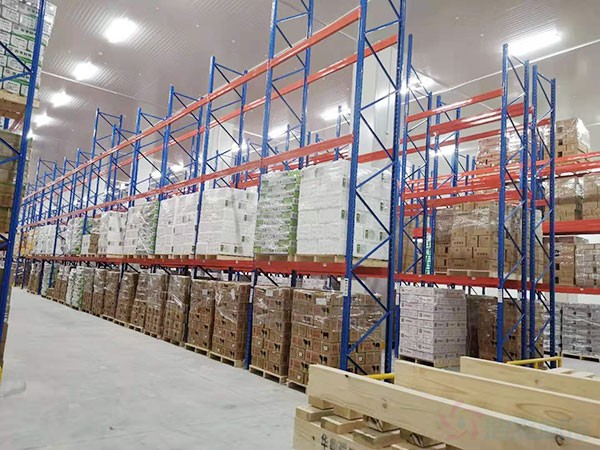 How Much Does It Cost to Build a 6,000 sqm Cold Chain Logistics Warehouse?