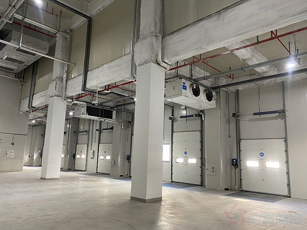 Cost to Build a 100–1000 sqm Cold Storage for Food Processing Factories